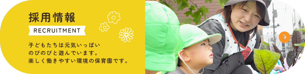 採用情報